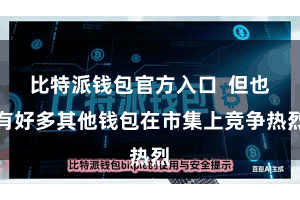 比特派钱包官方入口 但也有好多其他钱包在市集上竞争热烈