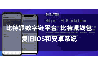 比特派数字链平台  比特派钱包复旧IOS和安卓系统