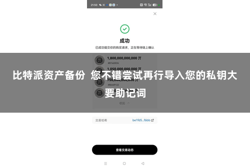 比特派资产备份  您不错尝试再行导入您的私钥大要助记词